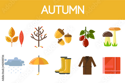 Vector illustration of autumn attributes on white background: foliage, tree, nuts, berries, mushrooms, rainy clouds, umbrella, rubber boots, coat and plaid.