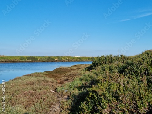 view of the coast