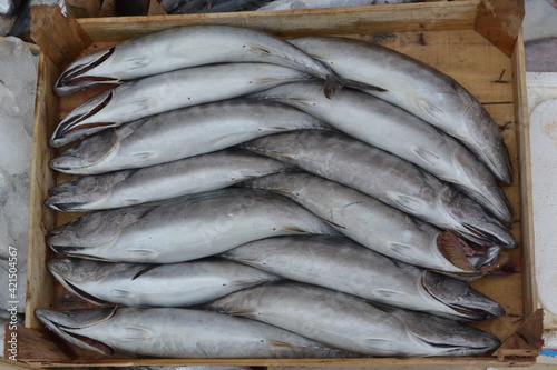 fresh fish at the market 2