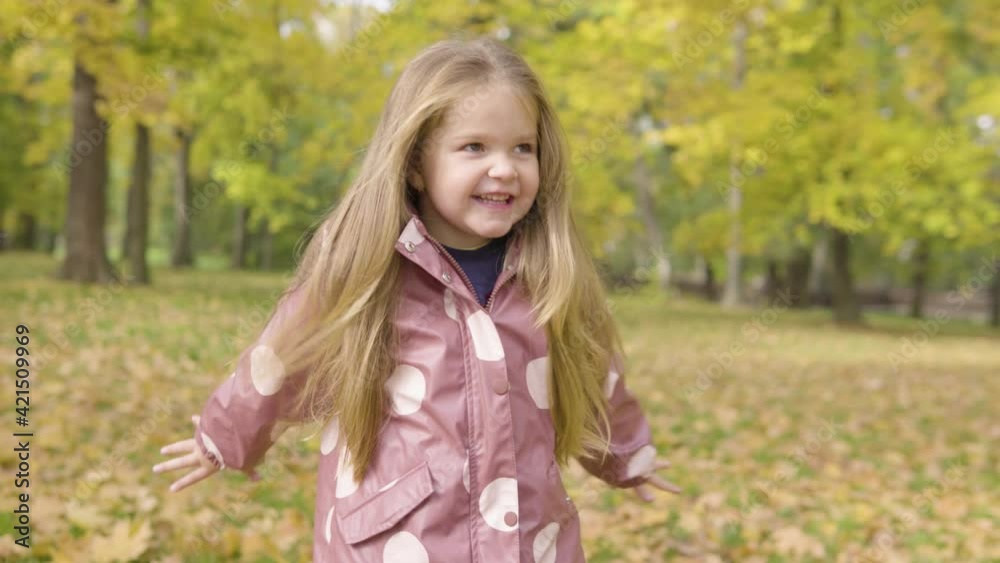 Cute little Caucasian girl throws a cluster of leaves into the air and watches them fall with a smile in a park Cute little Caucasian girl throws a cluster of leaves into the air and watches them fall with a smile in a park