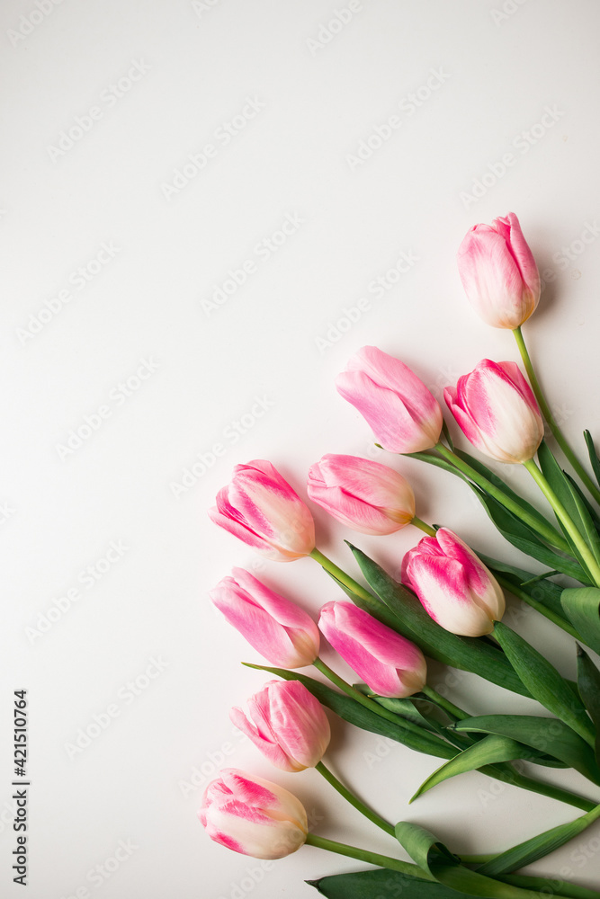 Bouquet of pink tulips isolated on white background. Valentine's Day and Mother's Day background. Top view