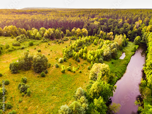 Brda river and Tuchola forest in Poland. Aerial view