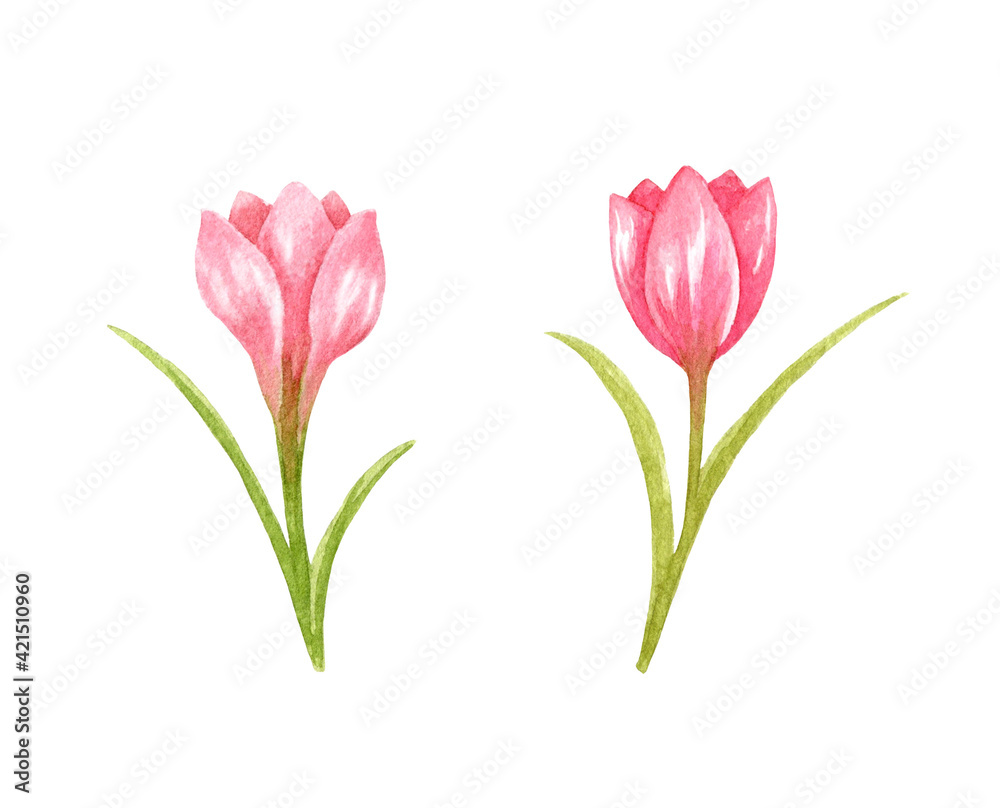 Fototapeta premium Flower watercolor 4