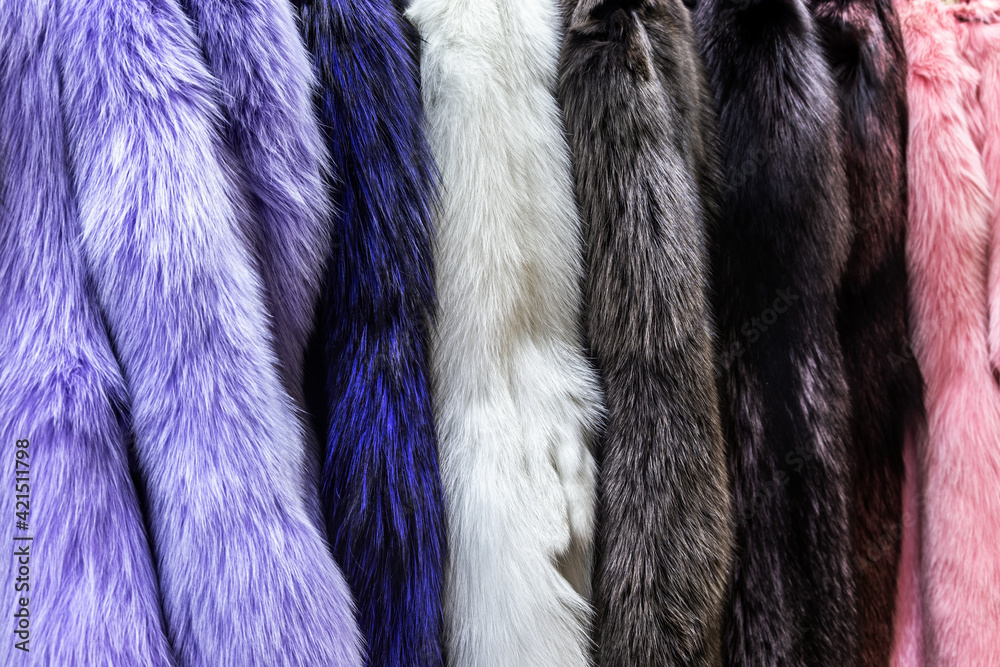 natural fur skins of different shades and colors.