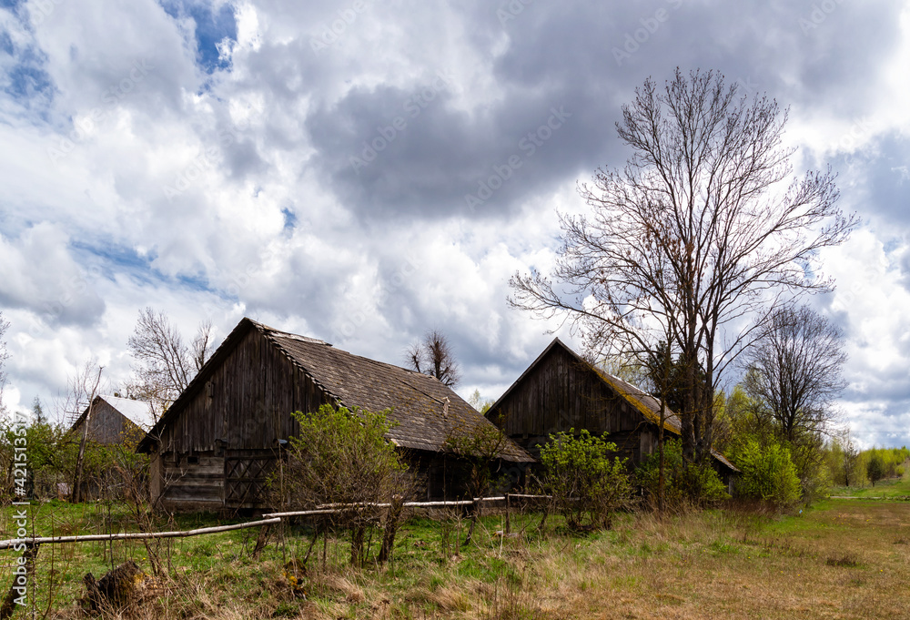 Wiosna na Wzgórzach Sokólskich, Podlasie, Polska Wiosna na Wzgórzach Sokólskich, Podlasie, Polska