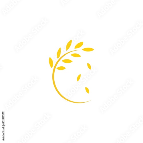 Round frame with ears of wheat or barley or rye. Vector illustration isolated on white.