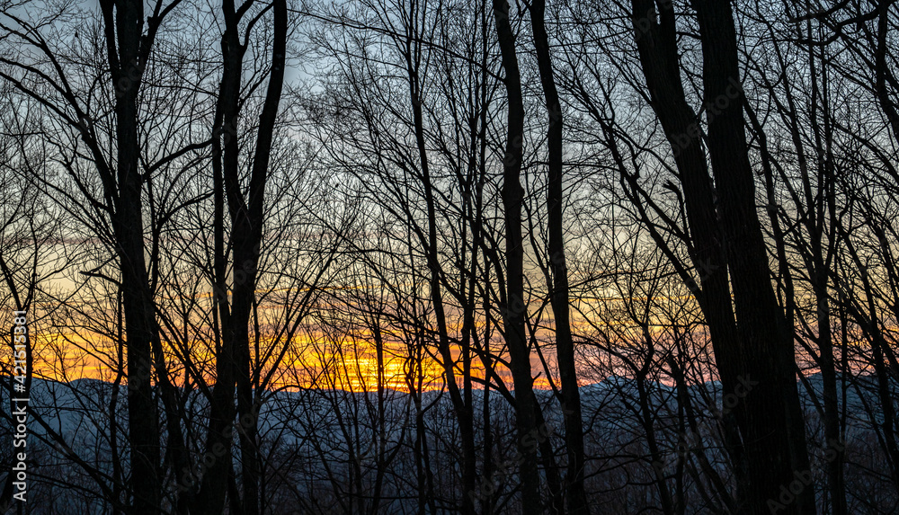 Naklejka premium Sunset over the mountains through trees in Appalachian forest, silhouetted by sky