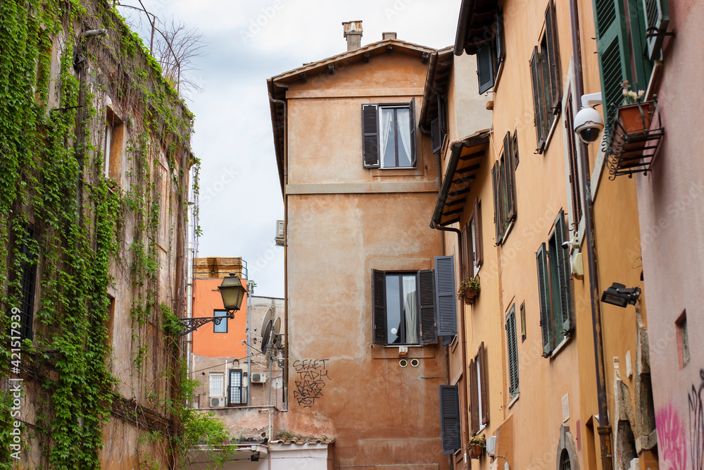 Hanging vines and colorful, hidden neighbourhood in Trastevere, Rome, Italy