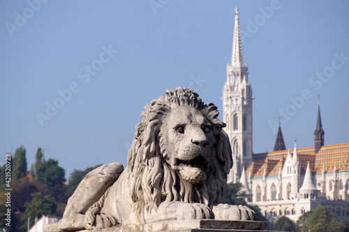 Budapest (Hungary). One of the lions from the Chain Bridge in the city of Budapest