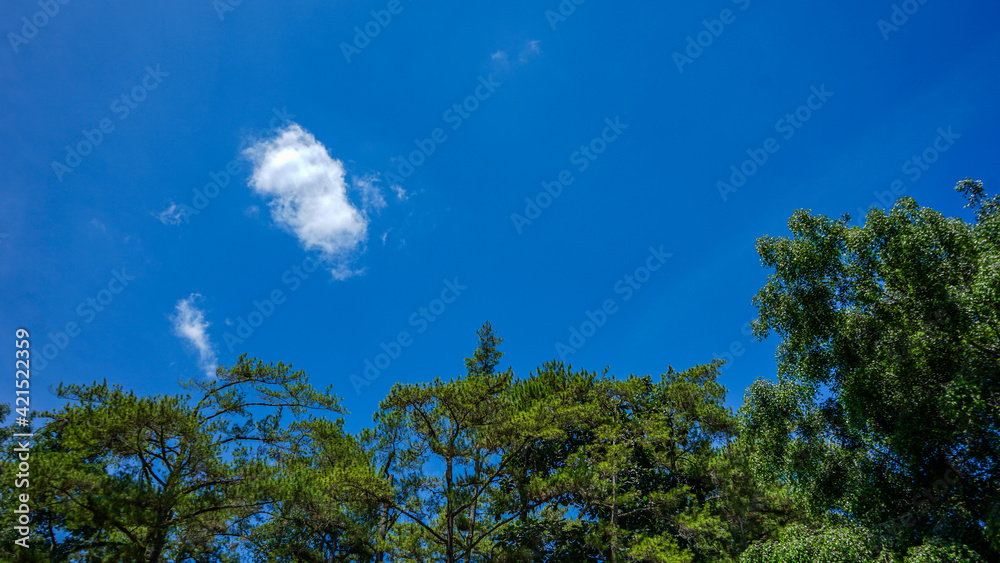 Fototapeta premium sun and clouds