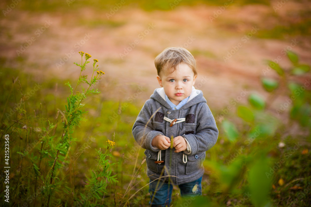 a three-year-old boy on a nature flight, selective focus a three-year-old boy on a nature flight, selective focus