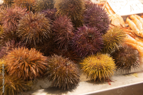 Wallpaper Mural Sea ​​urchins. Marketplace in the city of Cádiz Torontodigital.ca