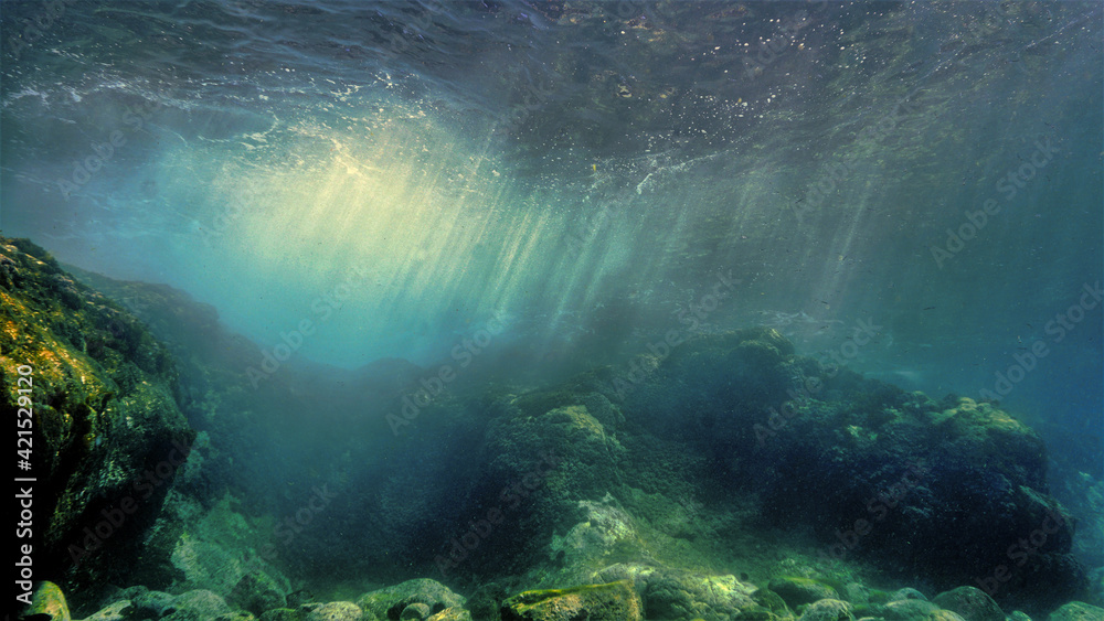 Underwater landscape and scenery in sunlight