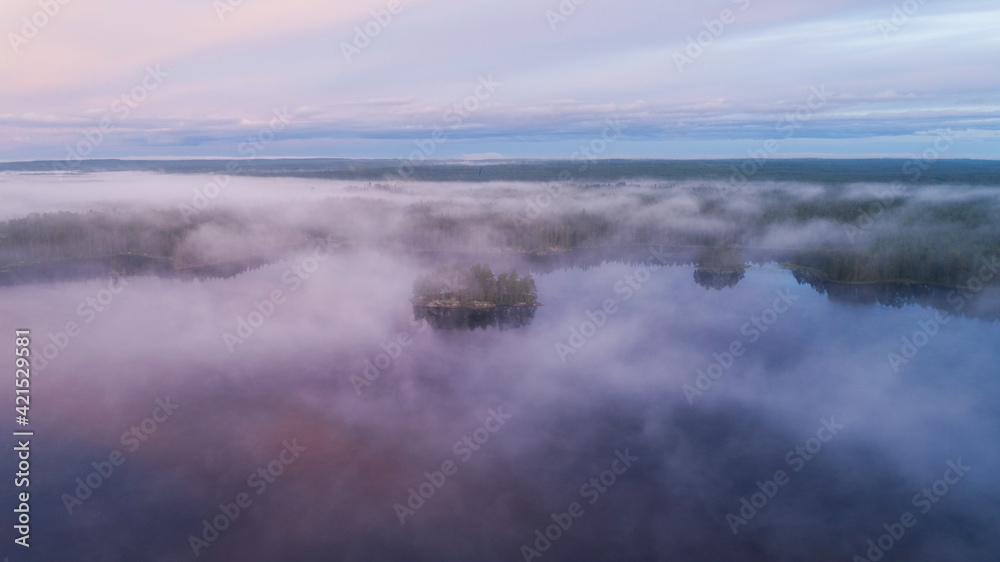 Early morning with mist above the lake and forest. Aerial view. Drone photography.