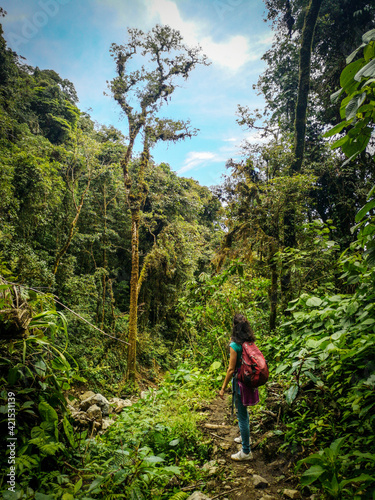A long curly black-haired woman in the dense jungle forest in panama on hike trail, Boquette Panama