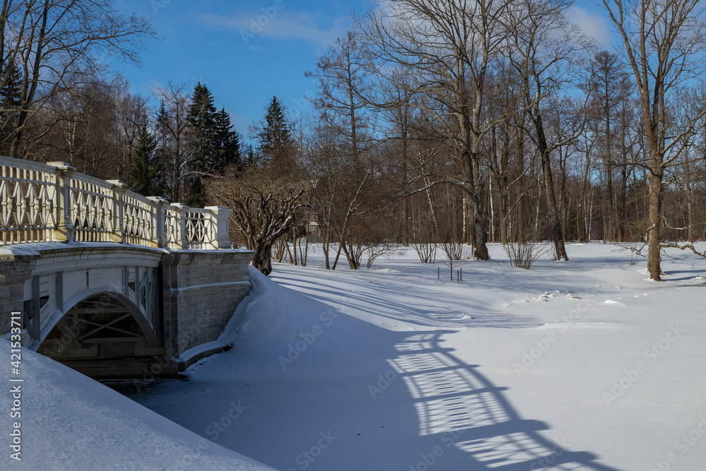 Obraz premium Winter landscape in a city park