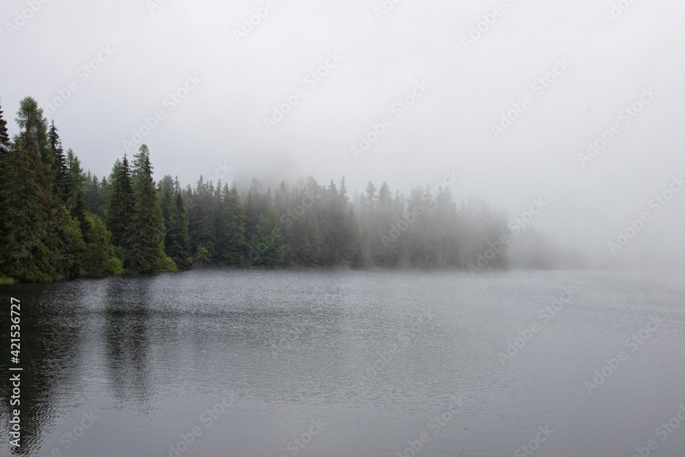 fog on the river fog on the river