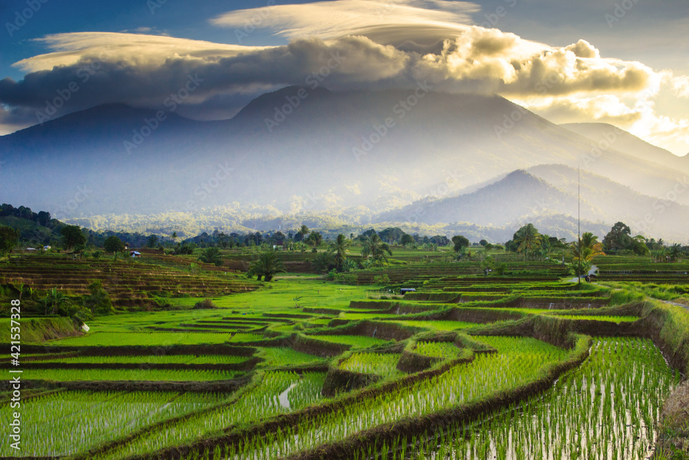 Beautiful mornings in the mountains and rice fields in Bengkulu, Indonesia