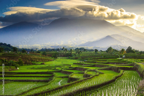 Beautiful mornings in the mountains and rice fields in Bengkulu  Indonesia