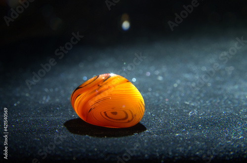 Un bel campioncino di agata arancione. photo
