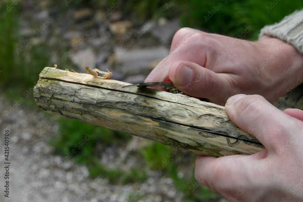 zwei Hände beim Holzschnitzen oder Holzarbeit, Schnitzen eines Wanderstocks