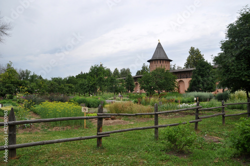 Vegetable garden against the background of old buildings. Beds with different plants.