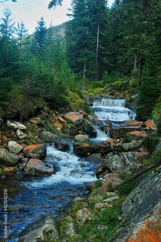 Czech Republic - view of the rapids in the stream Certova Strouha, tributary of the river White Elbe near the town of Spindleruv Mlyn photo