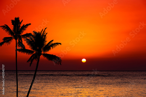 Sunset over ocean with palm trees silhouette.