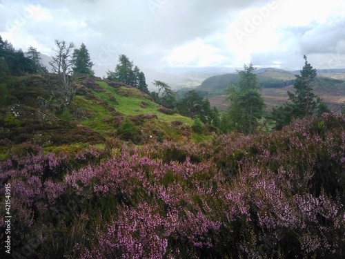 Obraz na plátně East highland way