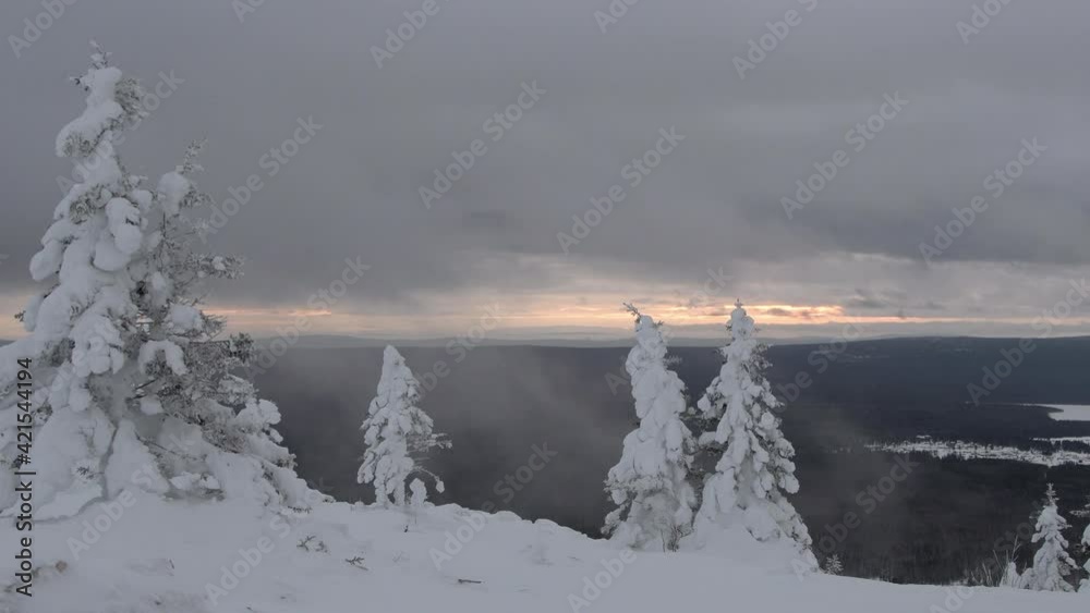 Lonely snow trees on top of mountain, branches moving in the wind. Fog and clouds float through frozen forest. Snow clouds hung over winter valley. Streak of dawn breaks on horizon. Lonely snow trees on top of mountain, branches moving in the wind. Fog and clouds float through frozen forest. Snow clouds hung over winter valley. Streak of dawn breaks on horizon.