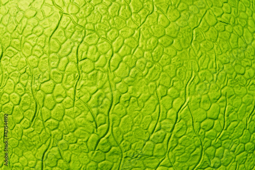 Bright green abstract artificial leather texture. Imitation of yellow-green scales.