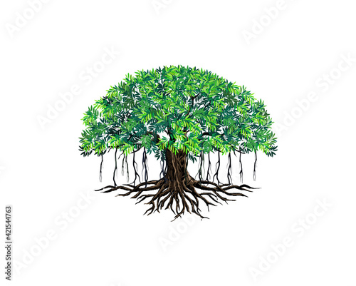 banyan tree vector logo