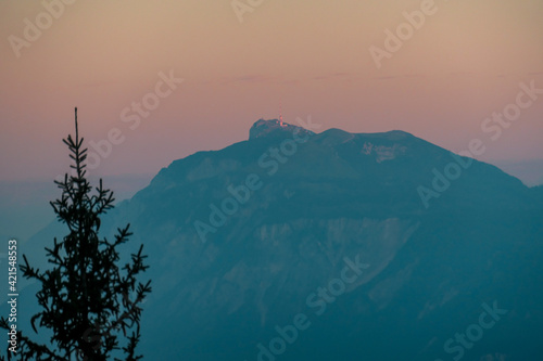 An early dusk with the view on Dobratsch in Austrian Alps. Horizon line is orange and yellow. The high mountain is overgrown with a lush forest. Daybreak. Pine tree in front. A shart tower on the peak