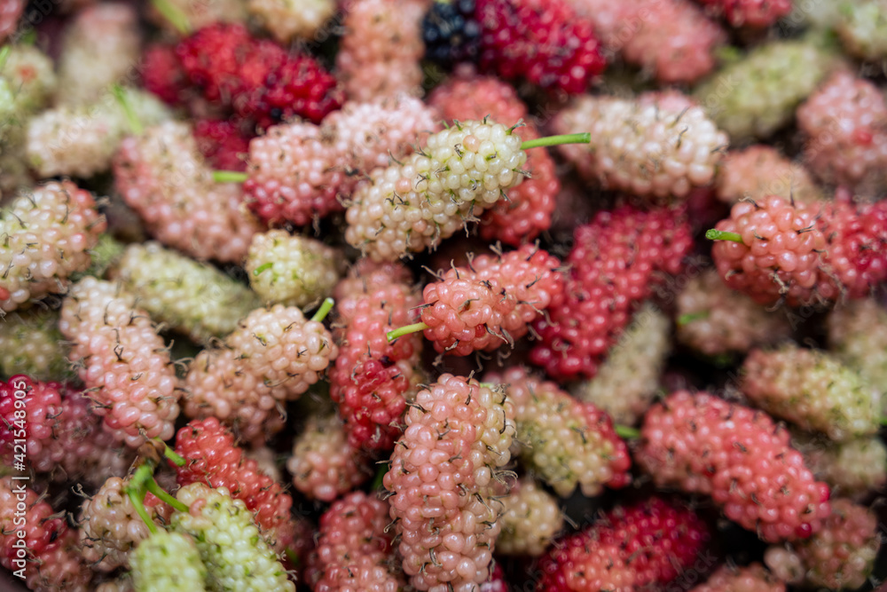 Mulberry, antioxidant, berry, fruit, superfood Mulberry, antioxidant, berry, fruit, superfood