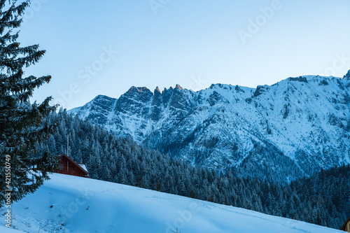 Obraz na płótnie Coltii Morarului rock formation in Romanian carpathian mountains in winter w salonie