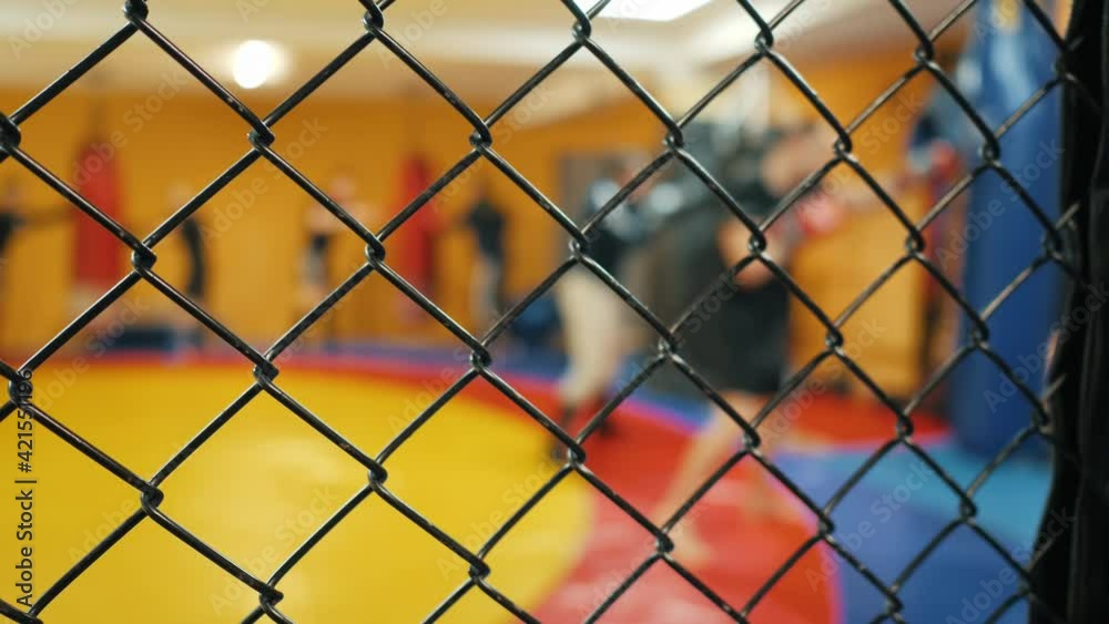 Blurred fighters practicing punch on punching bag behind net fence. Unrecognizable fighters during training Blurred fighters practicing punch on punching bag behind net fence. Unrecognizable fighters during training