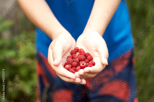 handful of raspberries