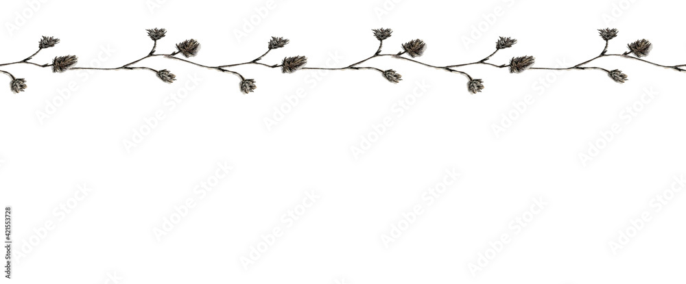 Small laid-back watercolor illustration of delicate pastel, beige fluffy branches in the sketch style, border with copyspace, isolated on a white background.