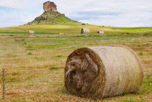 Hay bales near Surrender Hill, Free State, South Africa. photo