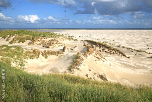 Amrum Dünen und Meer  photo