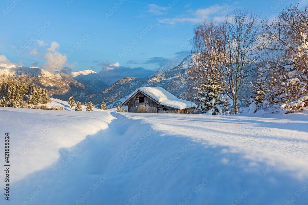 Allgäu - Winter - Stadel - Schnee - Berge - malerisch