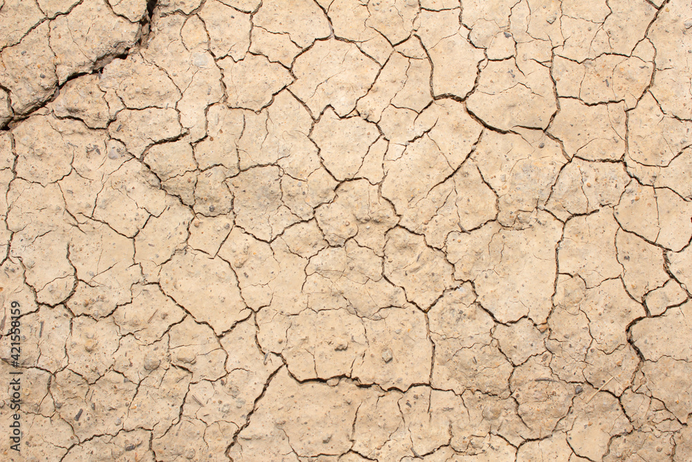 Dry cracked soil texture and background of ground Dry cracked soil texture and background of ground