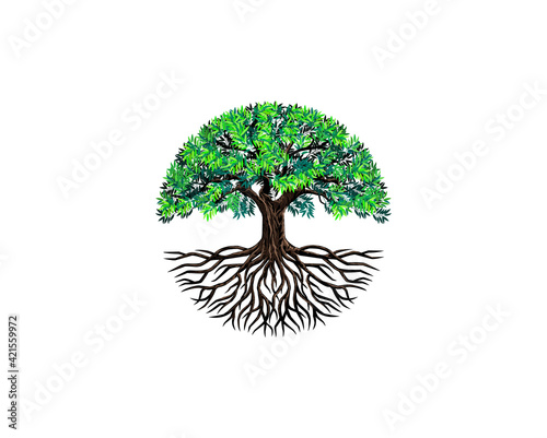 tree logo design with oak tree circle logo concepts