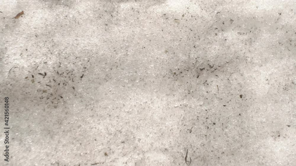 dirty snow in a pile 