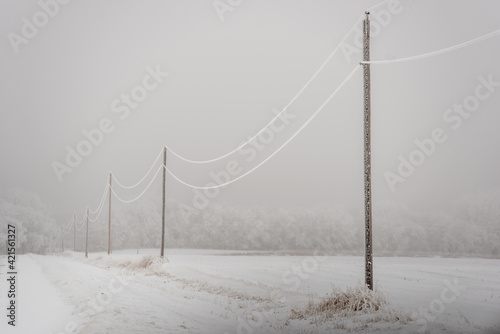 snow covered power lines 