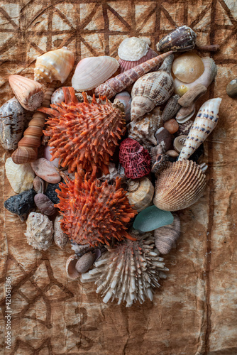 Seashells from the Pacific Ocean displayed on a vintage tapa cloth from Tonga.