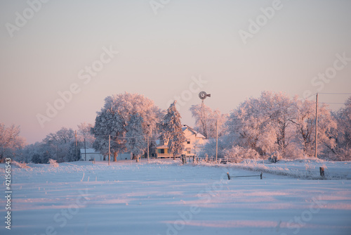 landscape in the snowy morning