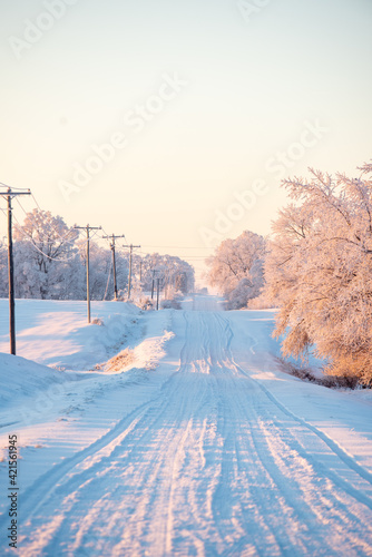 winter landscape with snow on a gravel road