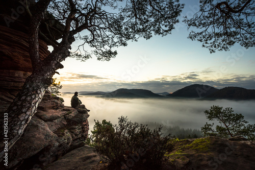 nebelmeer