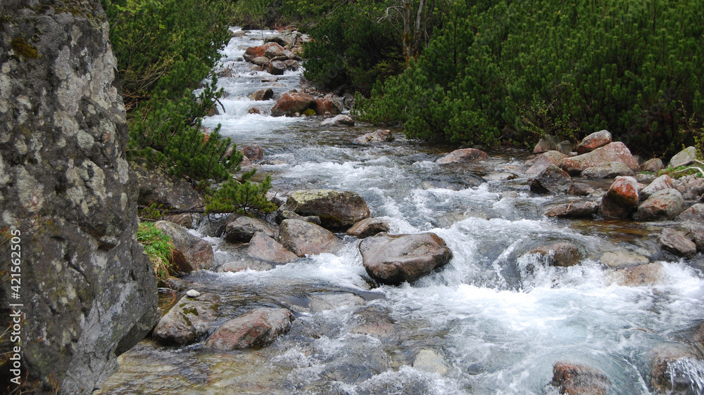 Fototapeta premium Tatry, Polska, Dolina pięciu stawów, Góry